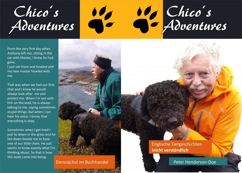 Buchcover Chico's adventures, Cover des Buches