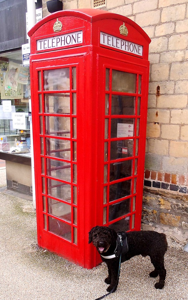 chico's adventures: chico vor einer englischen Telefonzelle